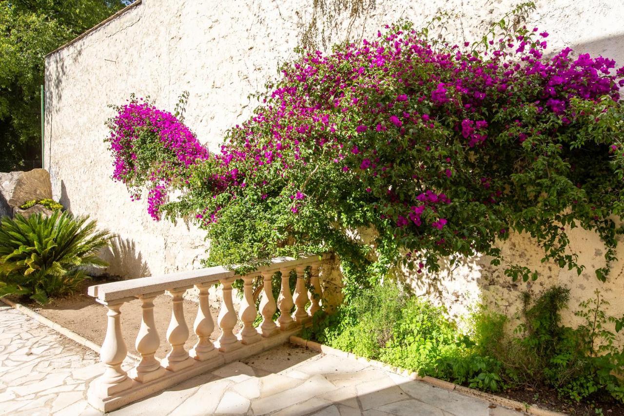 Cannes Villa Simone Extérieur photo